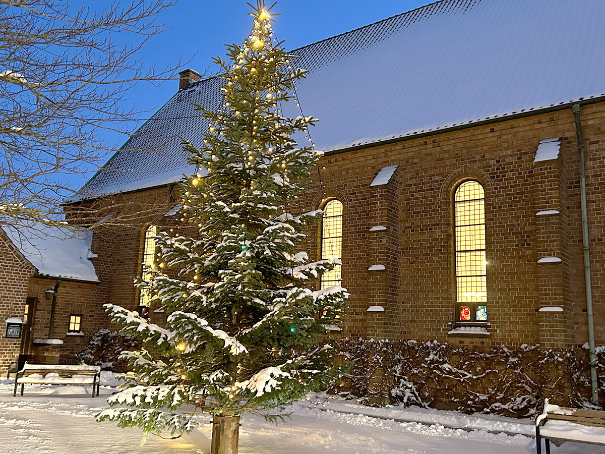 Juletræ ved kirken