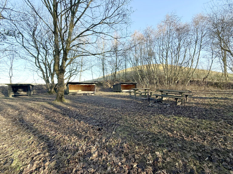 Nordjylland får shelters med sjæl – kunsten flytter ind i naturen