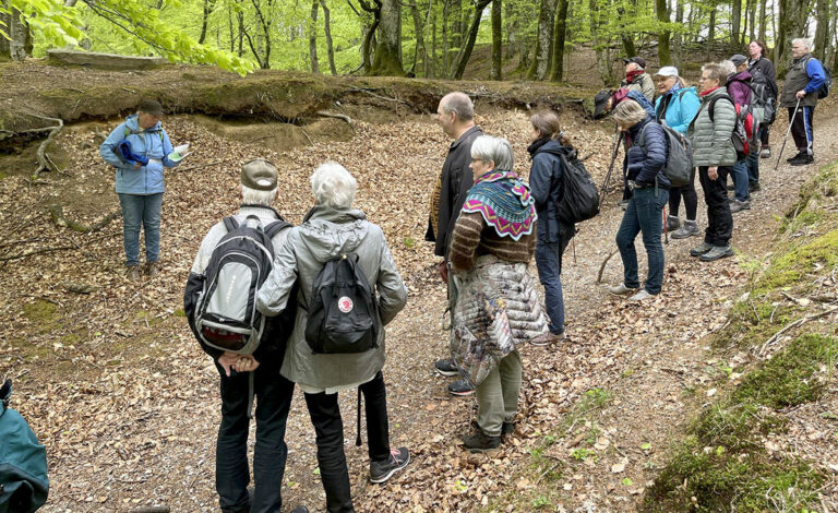 Populær pilgrimsvandring vender tilbage