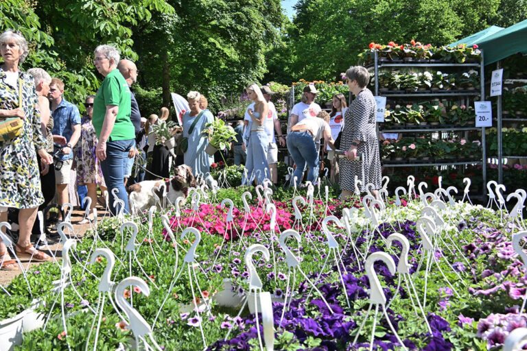 Bangsbo Blomsterfestival byder på fest og familiehygge