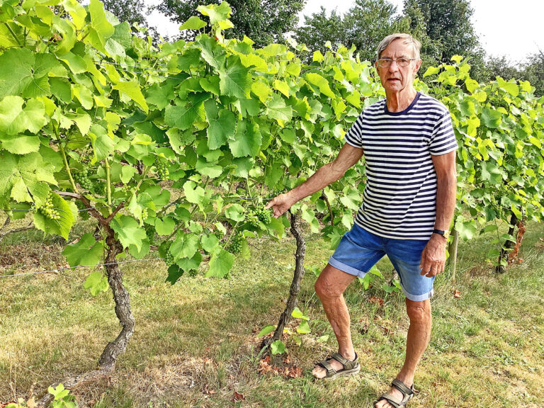 20 år med vin på Alderslyst Vingård