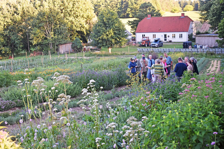 Rodfrugtfestival i Hellum for allerførste gang