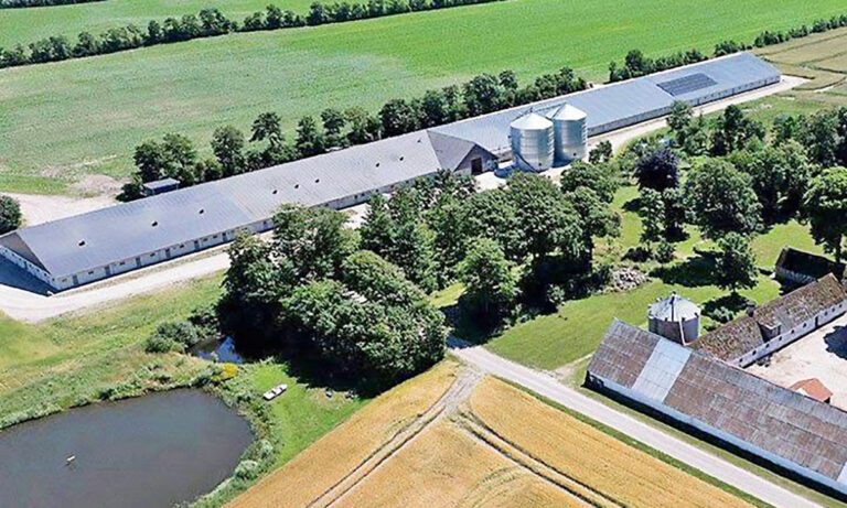 150 gæster skal opleve landbruget på nært hold
