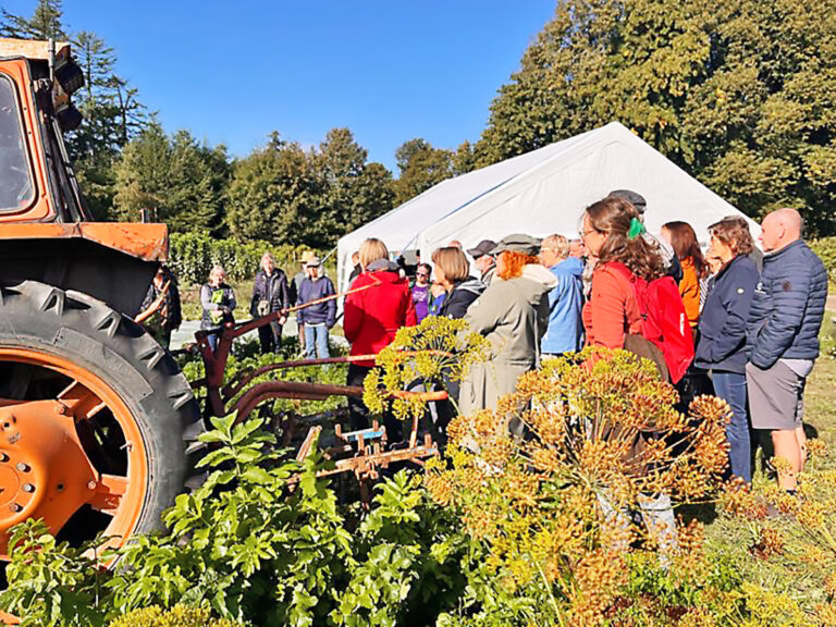 Rodfrugtfestival trak mange gæster – og bød måske på botanisk sensation